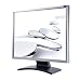 Benq FP93G 19 Zoll TFT Monitor DVI schwarz/silber (Kontrast 700:1, 6 Ms Reaktionszeit)