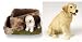Labrador Retriever (Yellow Lab) Triangle Planter