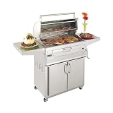 FireMagic 22-S101C-61 Portable 24 x 18 Charcoal Grill with Oven/Hood
