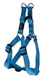Rogz Utility Medium 5/8-Inch Reflective Snake Adjustable Dog Step-in-Harness, Turquoise