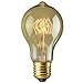 Rolay 30W Vintage Edison Light Bulbs with Squirrel Cage Filament, 170 Lumens, 6 Pack