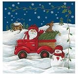 Blonder Trucking with Santa Bath Collection, Shower Curtain