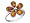 Amber Flower Ring in Sterling Silver .925, Size 6