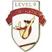 Sporting Goods : Women's Level 9 Gymnastics Pin.