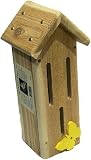 Songbird Essentials SESC1027C Butterfly Habitat House