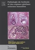 Pathologie du testicule et des organes g�nitaux externes masculins