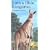 I Am a Little Kangaroo: Mini (I Am a Little Animal Series)