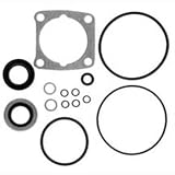 Sierra International 18-2689 Marine Lower Unit Seal Kit for Johnson/Evinrude Outboard Motor
