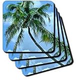 Palm Perfect - Set Of 8 Coasters - Soft