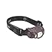 Coleman LED Multi-Color Headlamp