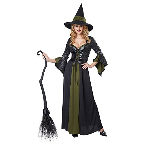 California Costumes Women's Classic Witch Long Dress, Black/Green, X-Large