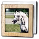 Head of Arab Horse - 6 Inch Tile Napkin Holder