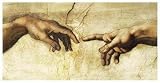 Die SchÃ¶pfung by Michelangelo Fine Art Print / Poster 9.75 x 5.00 in.