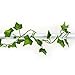 Leegoal(TM) Silk Artificial Ivy Garland Wedding Decoration (Green, 2 M)