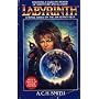 Labyrinth: A Novel