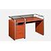 Clear Glass Computer Desk with Storage