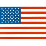 Professionally Framed American Flag Art Poster – 11×17 with RichAndFramous Black Wood Frame