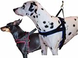 Eigenschaften Limex  / Hundegeschirr mit Neopren gefüttert rot 40-50 cm