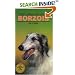 Borzoi