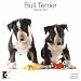 terrier22 - Bull Terrier 2010 Wall Calendar
