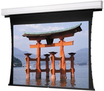 Da-Lite Tensioned Advantage Deluxe Electrol - Projection screen (rear, motorized) - 100 in - 4:3 - Dual Vision