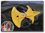 Electronic Vehicle Anti-theft System