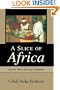 A Slice of Africa: Exotic West African Cuisines