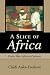A Slice of Africa