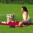 Multi Functional Tote Bag / Poncho / Blanket