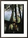 Buddhist Prayer Flags Hang in the Trees in Darjeeling Framed Photographic Poster Print by Ed George, 21x29