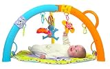 Edushape Foldable Big Gym with Mat