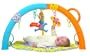 Edushape Jumbo Gym