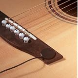 Piezo Transducer Exterior Mount