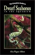 The Complete Guide to Dwarf Seahorses in the Aquarium (Complete Guide)