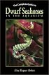 The Complete Guide to Dwarf Seahorses in the Aquarium (Complete Guide)