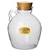 Zillions Money Jug - Clear