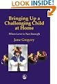 Bringing up a Challenging Child at Home: When Love is Not Enough