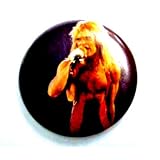 Van Halen~ Van Halen Button~ David Lee Roth~ Rare ... thumbnail