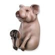 Pig Decorative Coat Hook