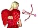 Cupid Costume Accessory Kit