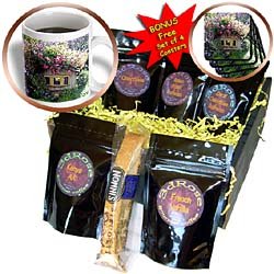 Birds - Birdshouse - Coffee Gift Baskets - Coffee Gift Basket by Decaf Espresso Roast