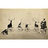 Juliette's Wonder Sea lions (Print On Demand)