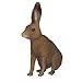 CollectA Woodlands Brown Hare Miniature Toy Figure - Authentic Hand Painted Model