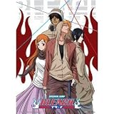 Bleach: Casual Look Anime Wall Scroll