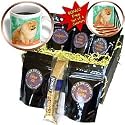 Dogs Pomeranian - Pomeranian - Coffee Gift Baskets - Coffee Gift Basket