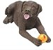 Chocolate Lab Puppy Life Size K-9 Kreations Statue