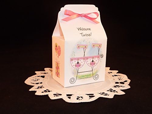 Butterfly Kisses TWINS Baby Shower Favor Box Kits - Girls