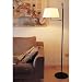 Bover 31242 Ferrara Swivel Floor Lamp Finish: Grphite Brown Iron, Shade: Parchment, Bulb Type: Fluorescent
