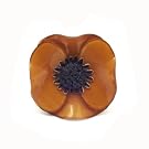 Small Anemone Ring by Cilea (Gold)