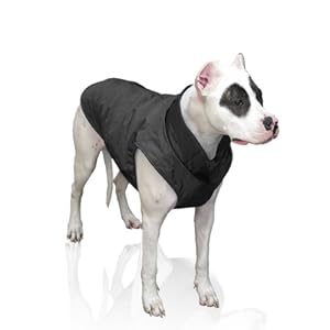 Scooter's Friends Puffy Dog Coat, Size 10, Black Matte
